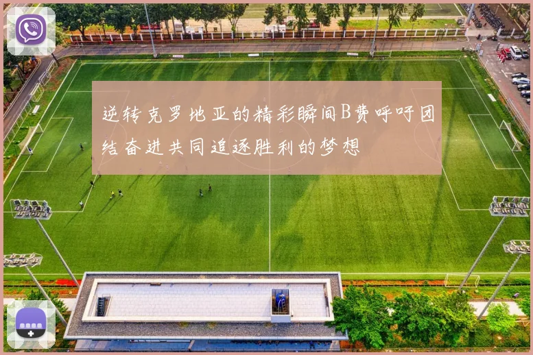 逆转克罗地亚的精彩瞬间B费呼吁团结奋进共同追逐胜利的梦想