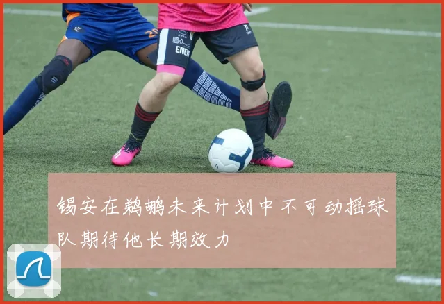 锡安在鹈鹕未来计划中不可动摇球队期待他长期效力