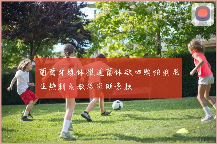 葡萄牙媒体报道葡体欲回购帕利尼亚热刺或激活买断条款